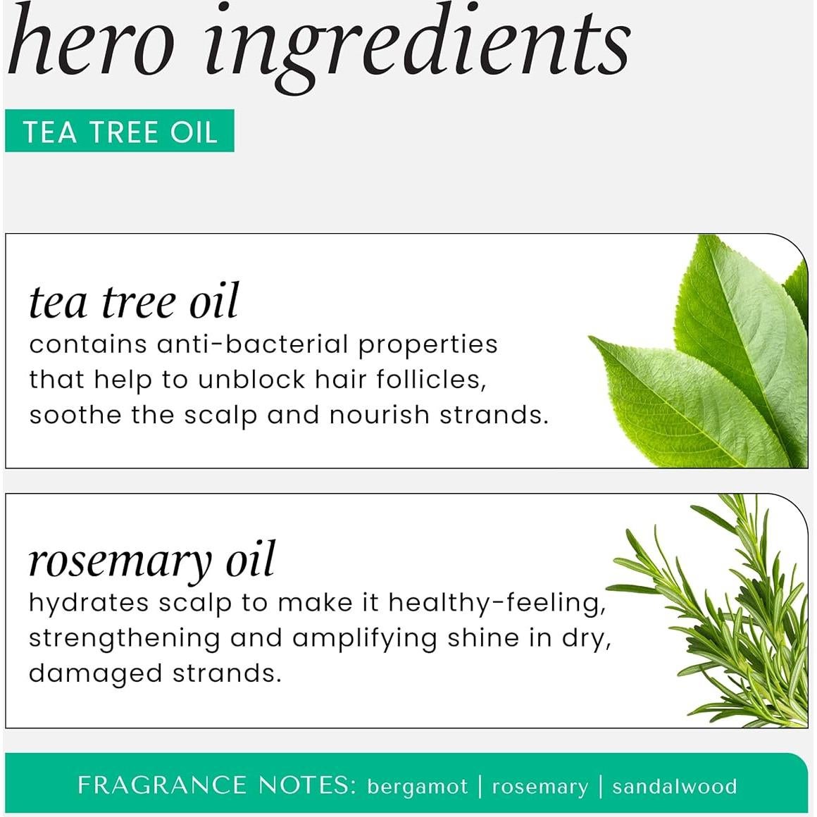 Champú y Acondicionador HASK Árbol de Té y Romero 226g