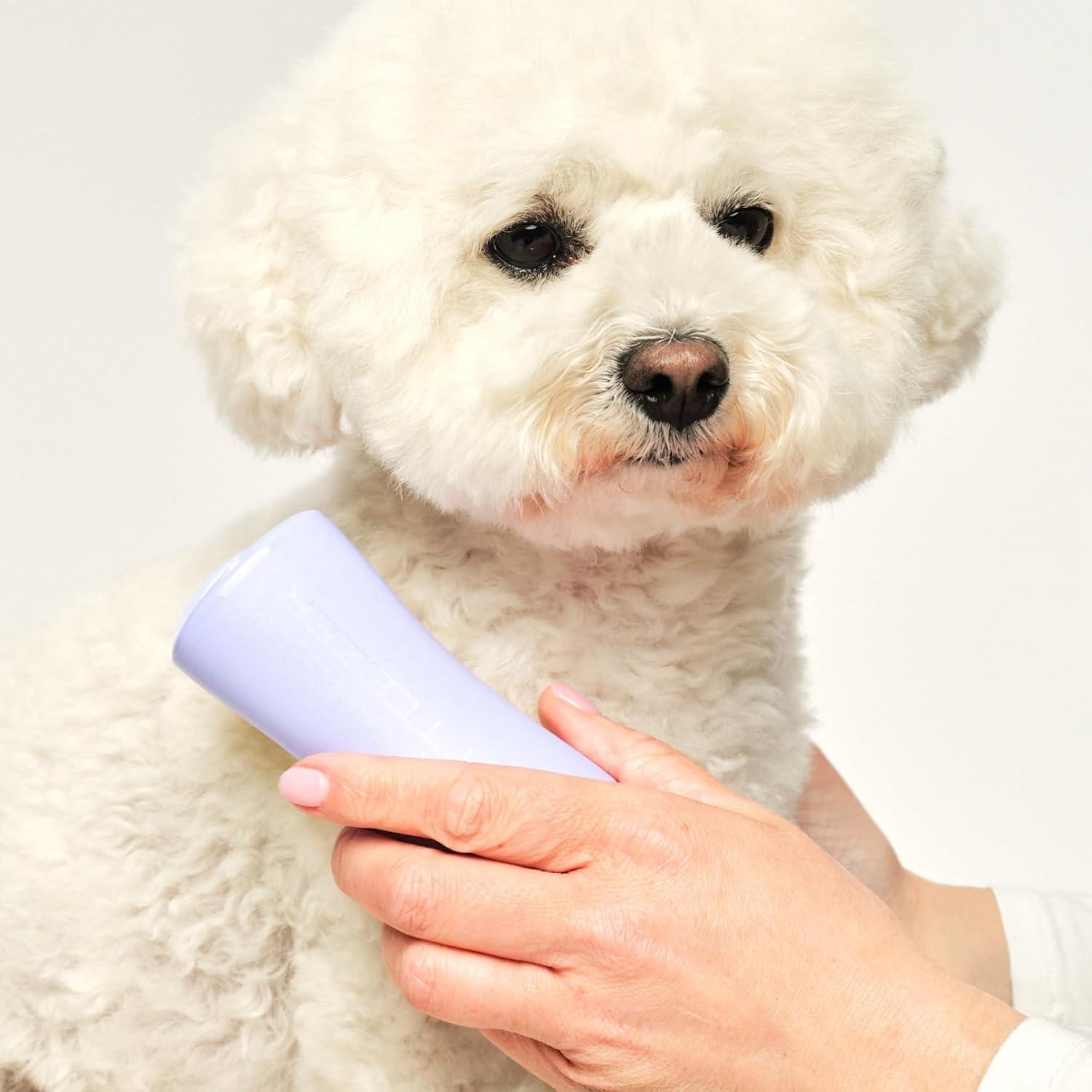 Cepillo Desenredante Pequeño Tangle Teezer Lila y Amarillo