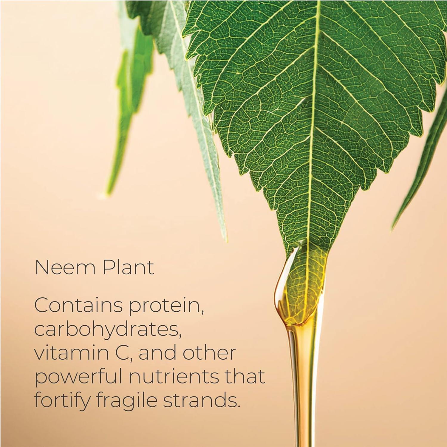 Suero de Cabello L'ANZA Healing Strength 100ml Anti Frizz