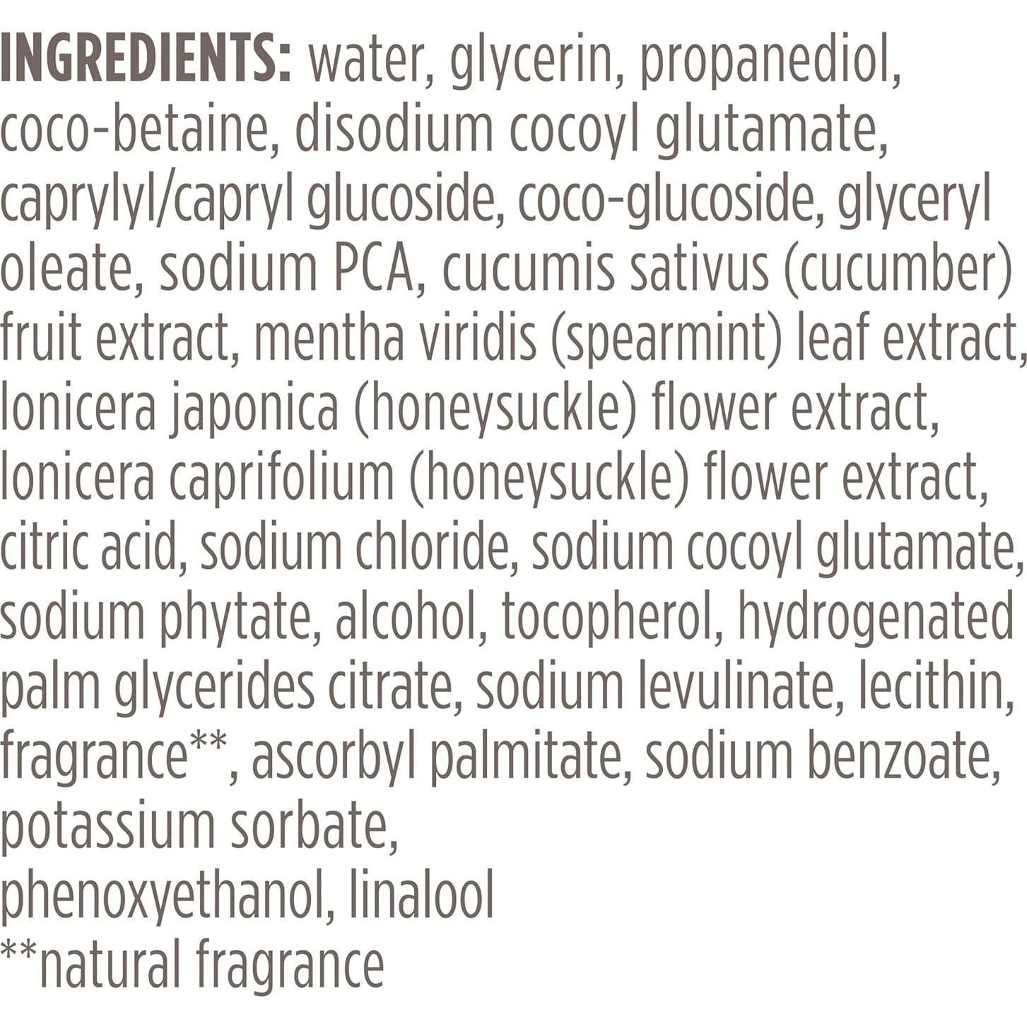 Limpiador Facial Espumoso Burt's Bees con Pepino y Menta 201g