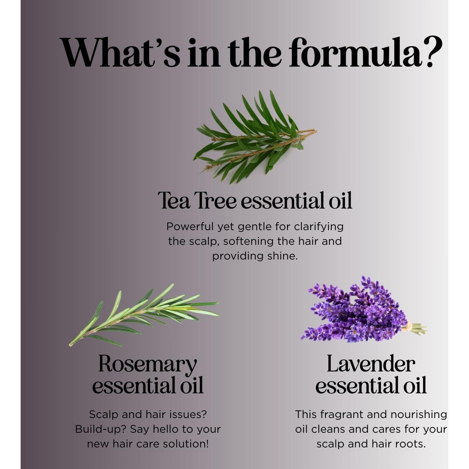 Champú Aclarador de Árbol de Té Maple Holistics 250ml