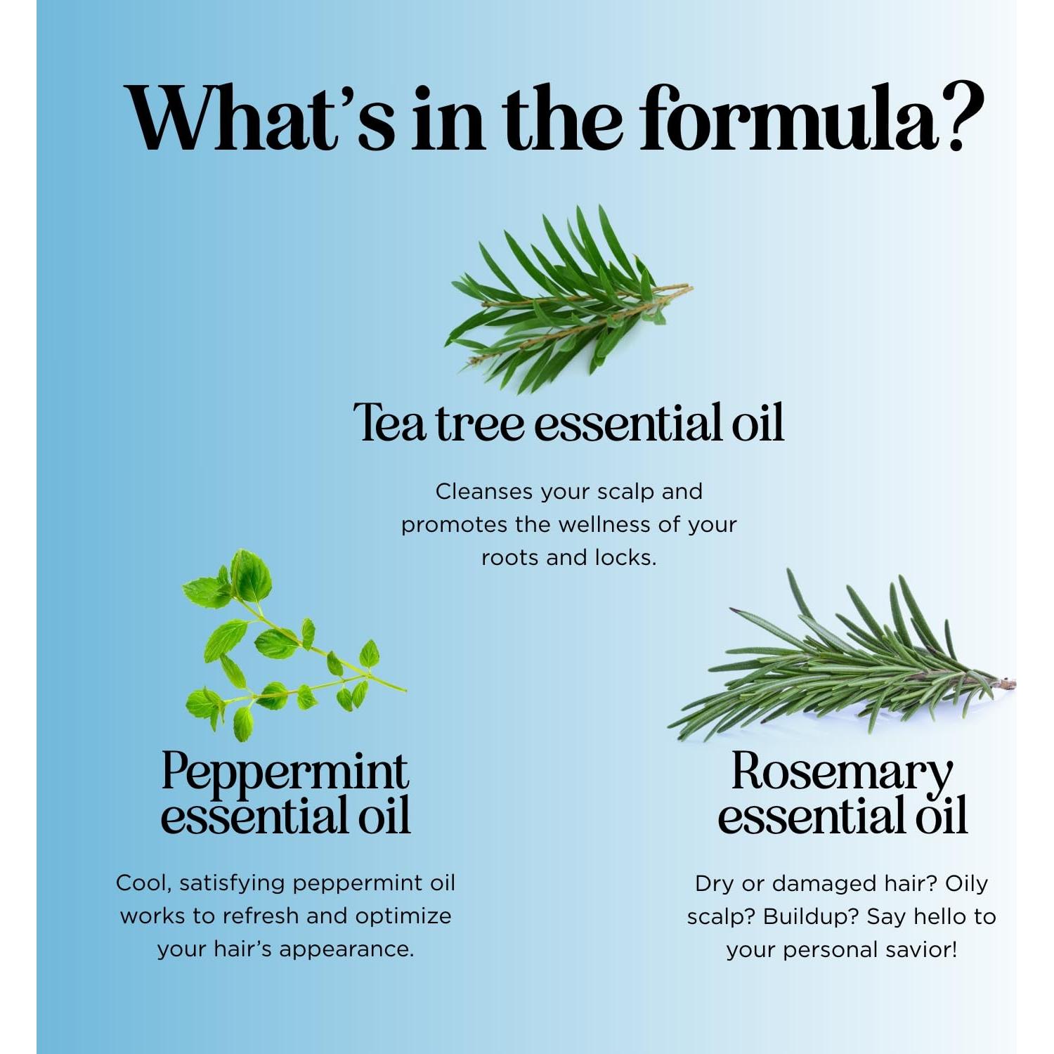 Set Champú y Acondicionador Maple Holistics 473 ml Menta