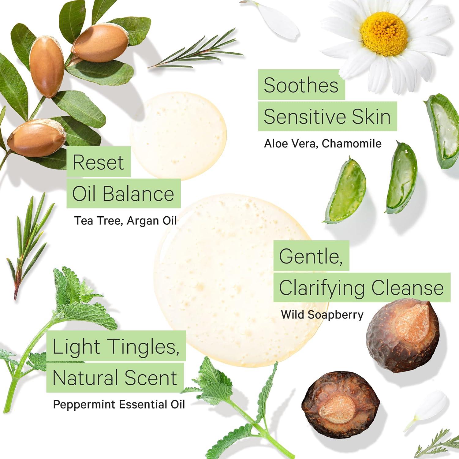 Champú Aclarador Tree to Tub 500ml para Cabello Graso