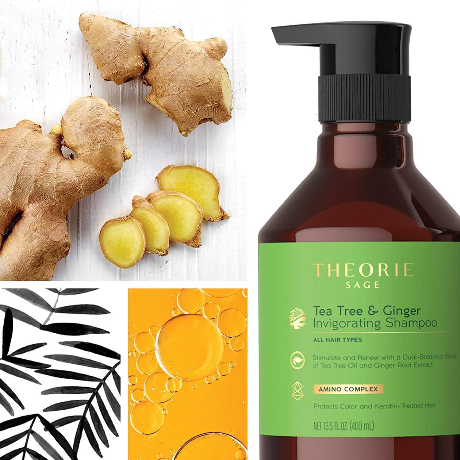 Champú Estimulante Theorie 800mL Árbol de Té y Jengibre