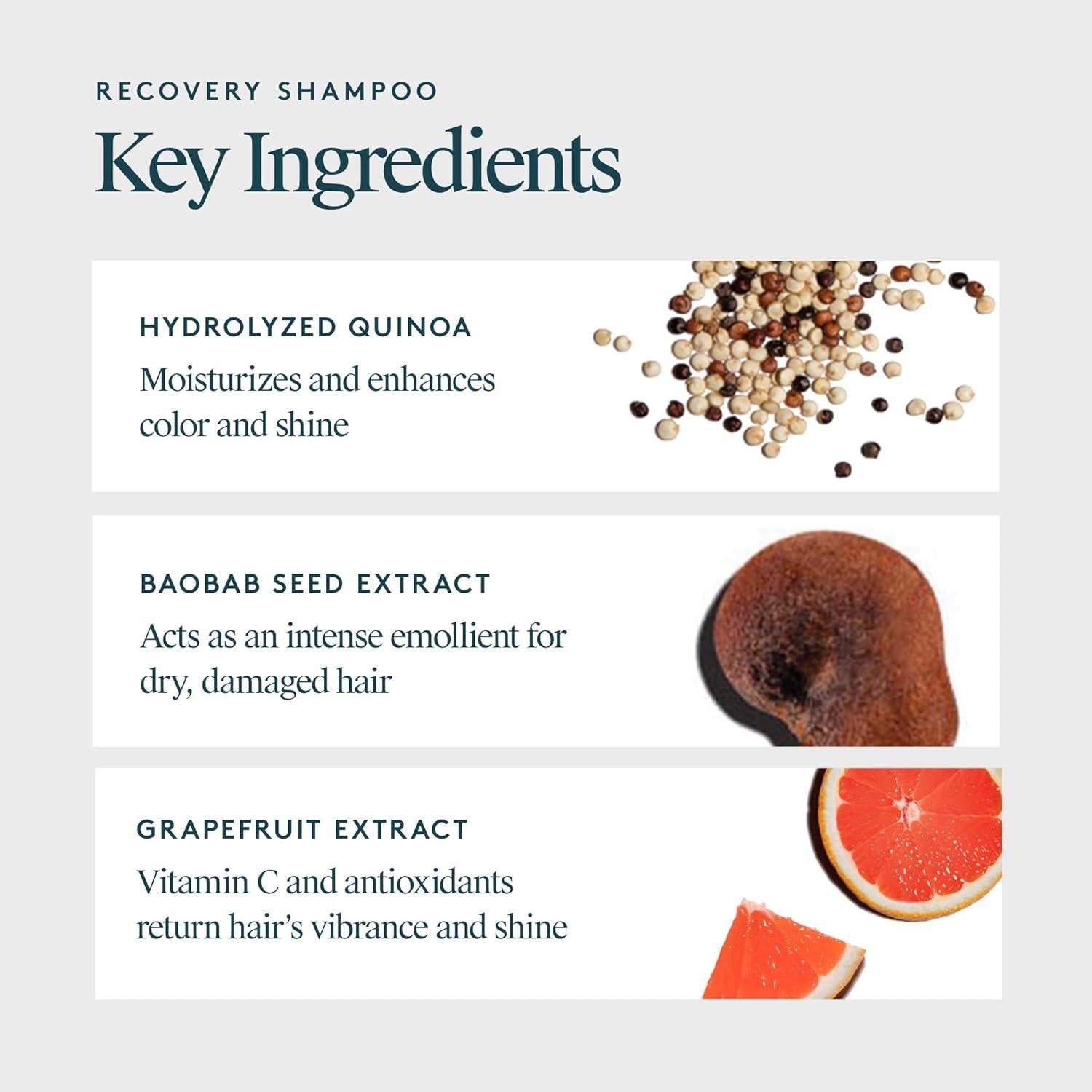 Champú Sin Sulfatos VIRTUE Recovery 295g Queratina Baobab