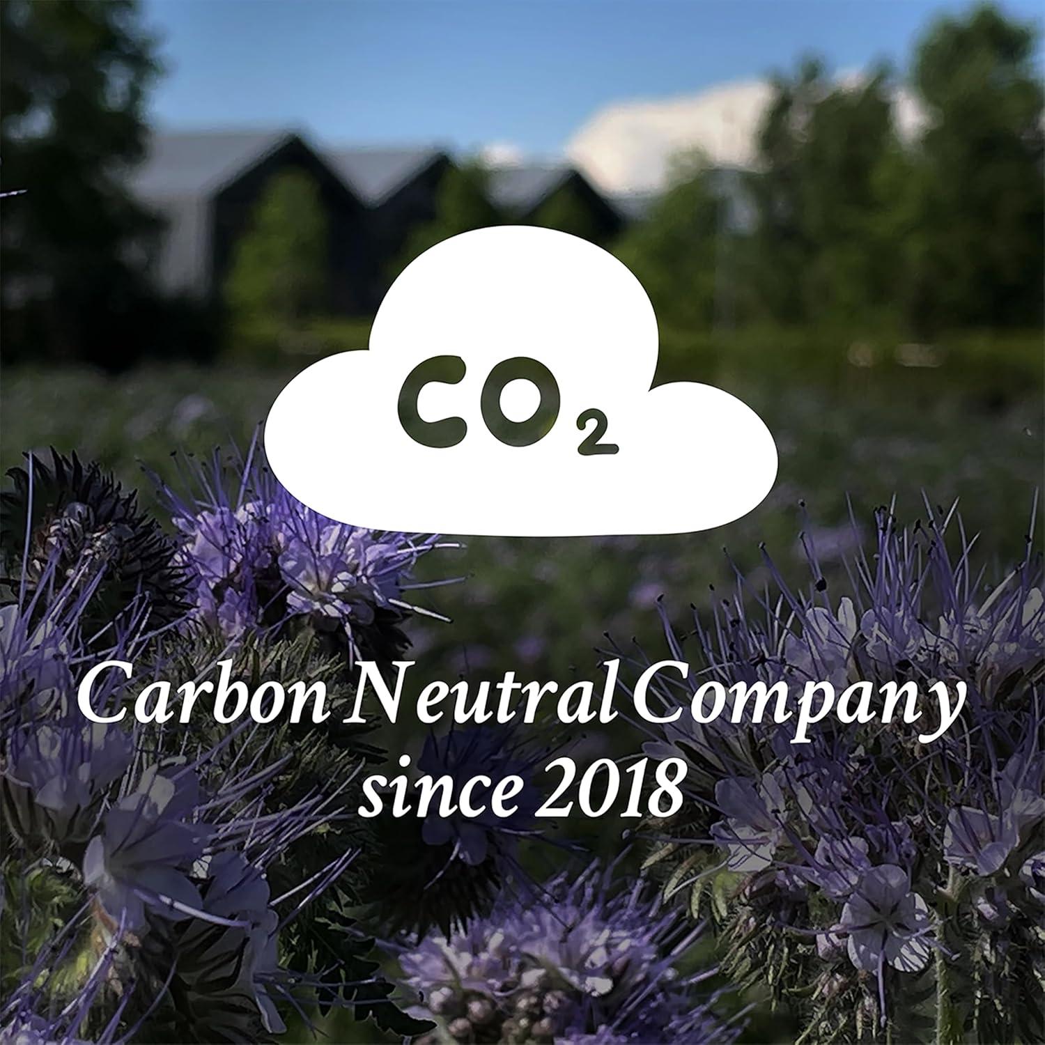 Mascarilla para Cabello Davines NOUNOU 262 ml Nutritiva