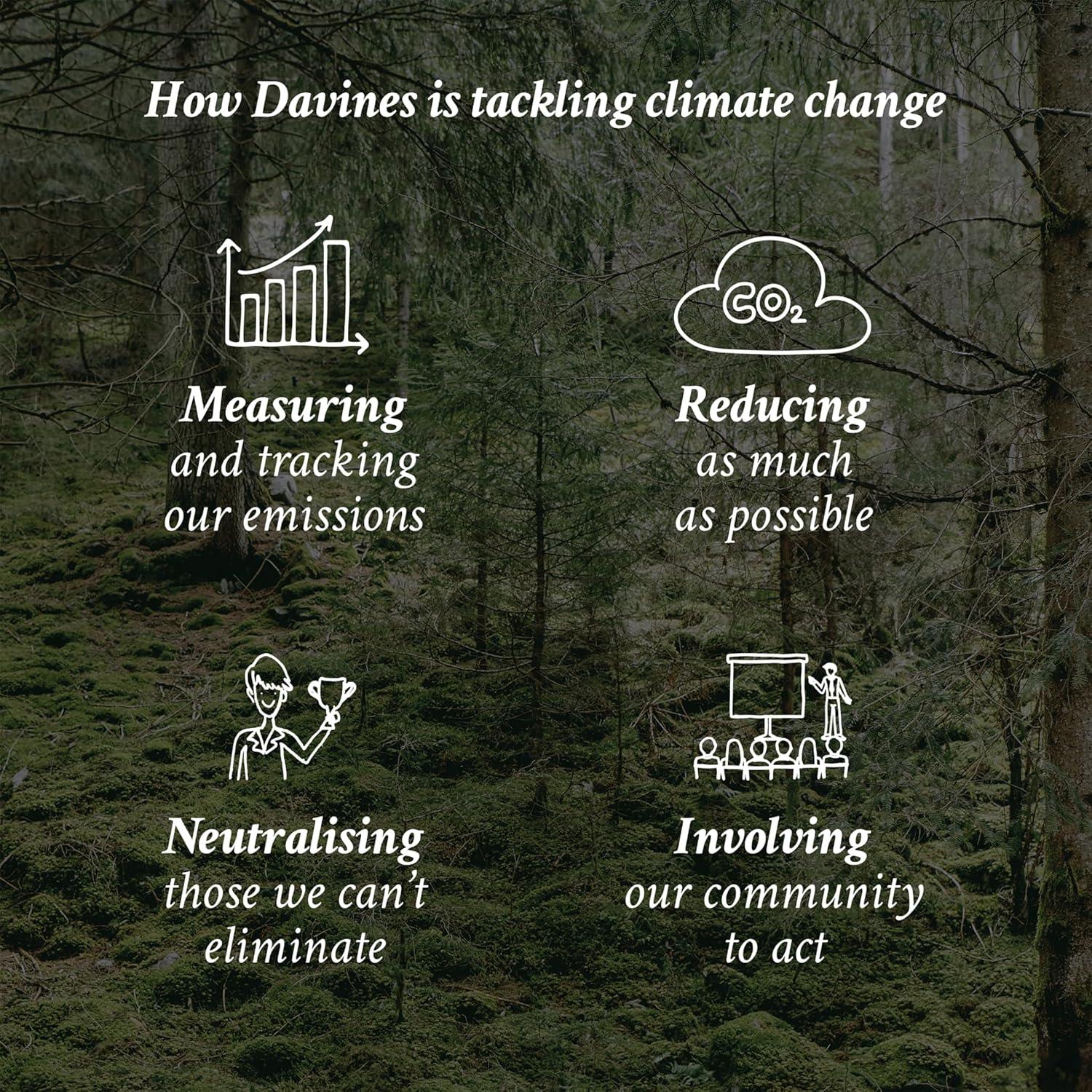 Mascarilla para Cabello Davines NOUNOU 262 ml Nutritiva