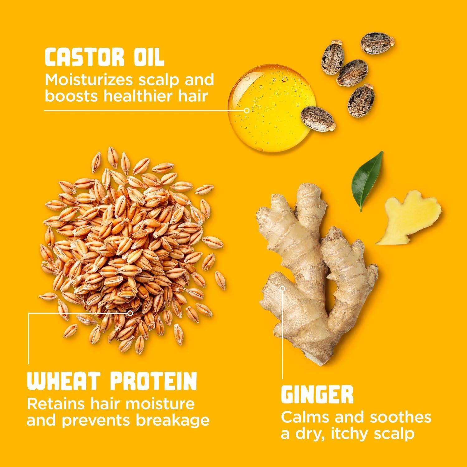 Máscara Capilar Hidratante Carol's Daughter 340 g