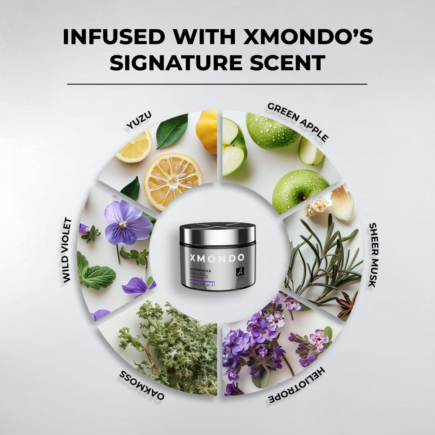 Máscara Reparadora Toning XMONDO Rubia 226g Vegana