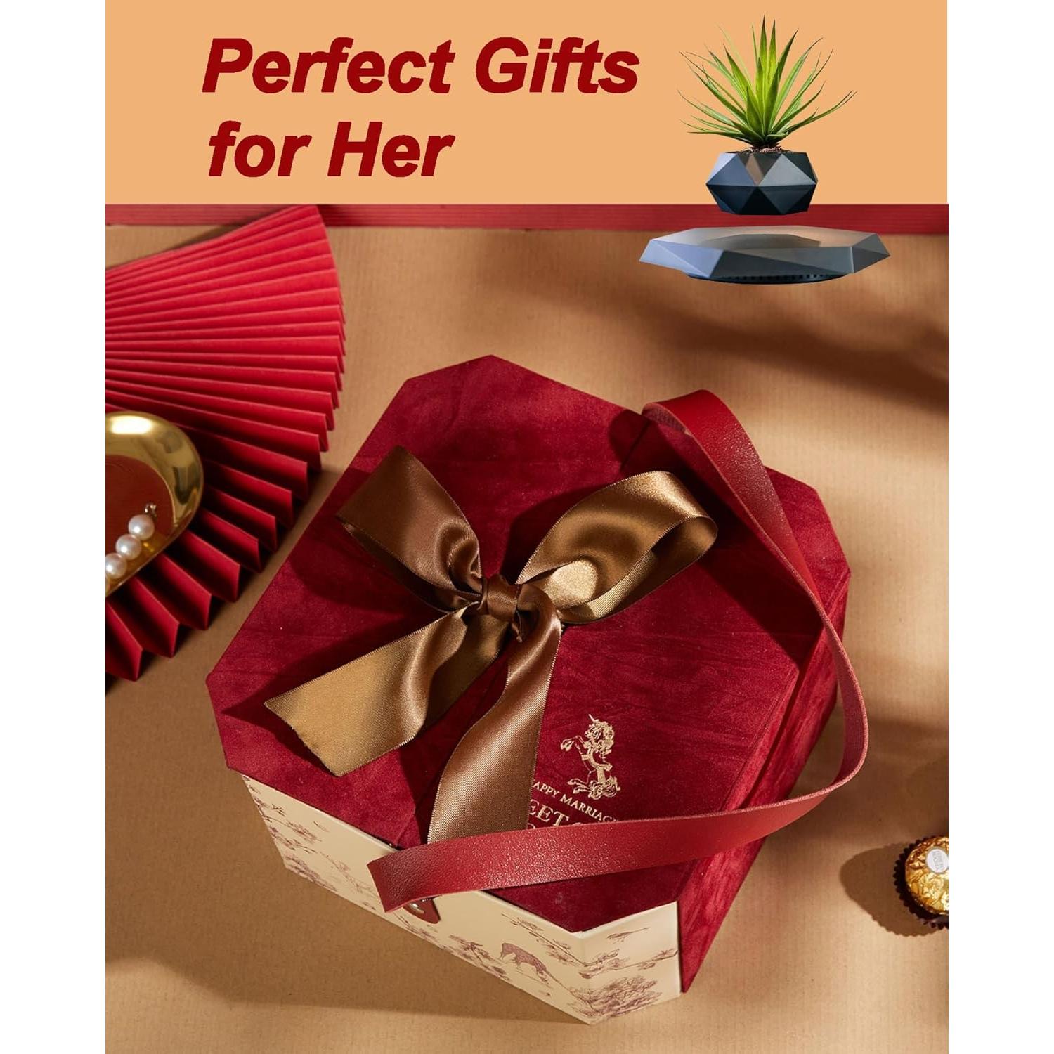 Maceta Flotante Magnética Ronsoile para Bonsai - Negro