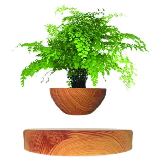 Maceta Flotante Magnética Genérico 25cm Minimalista