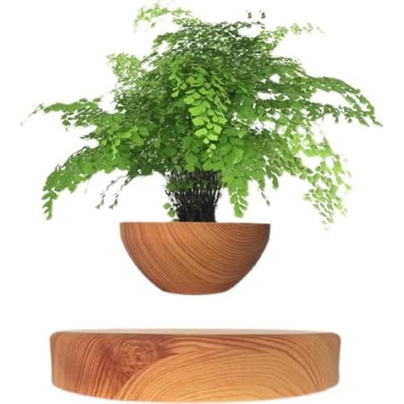 Maceta Flotante Magnética Genérico 25cm Minimalista