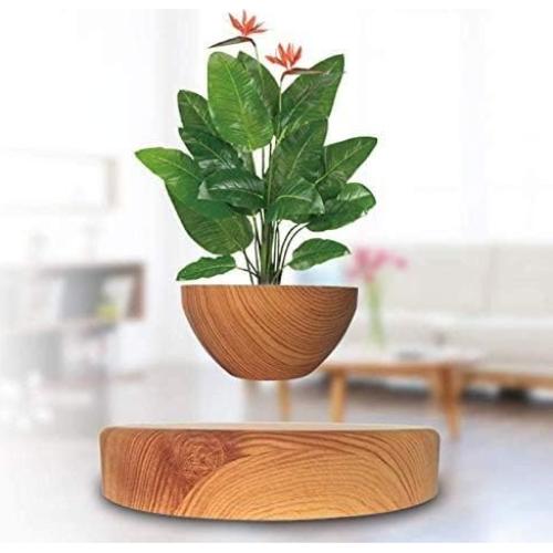 Maceta Flotante Magnética Genérico 25cm Minimalista