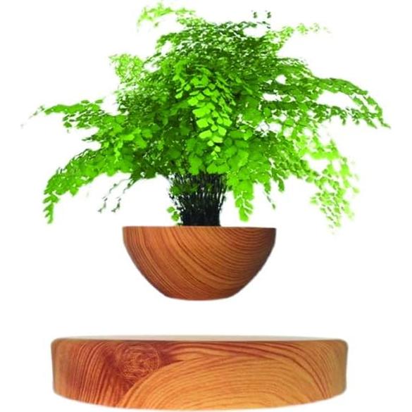 Maceta Flotante Magnética Genérico 25cm Minimalista