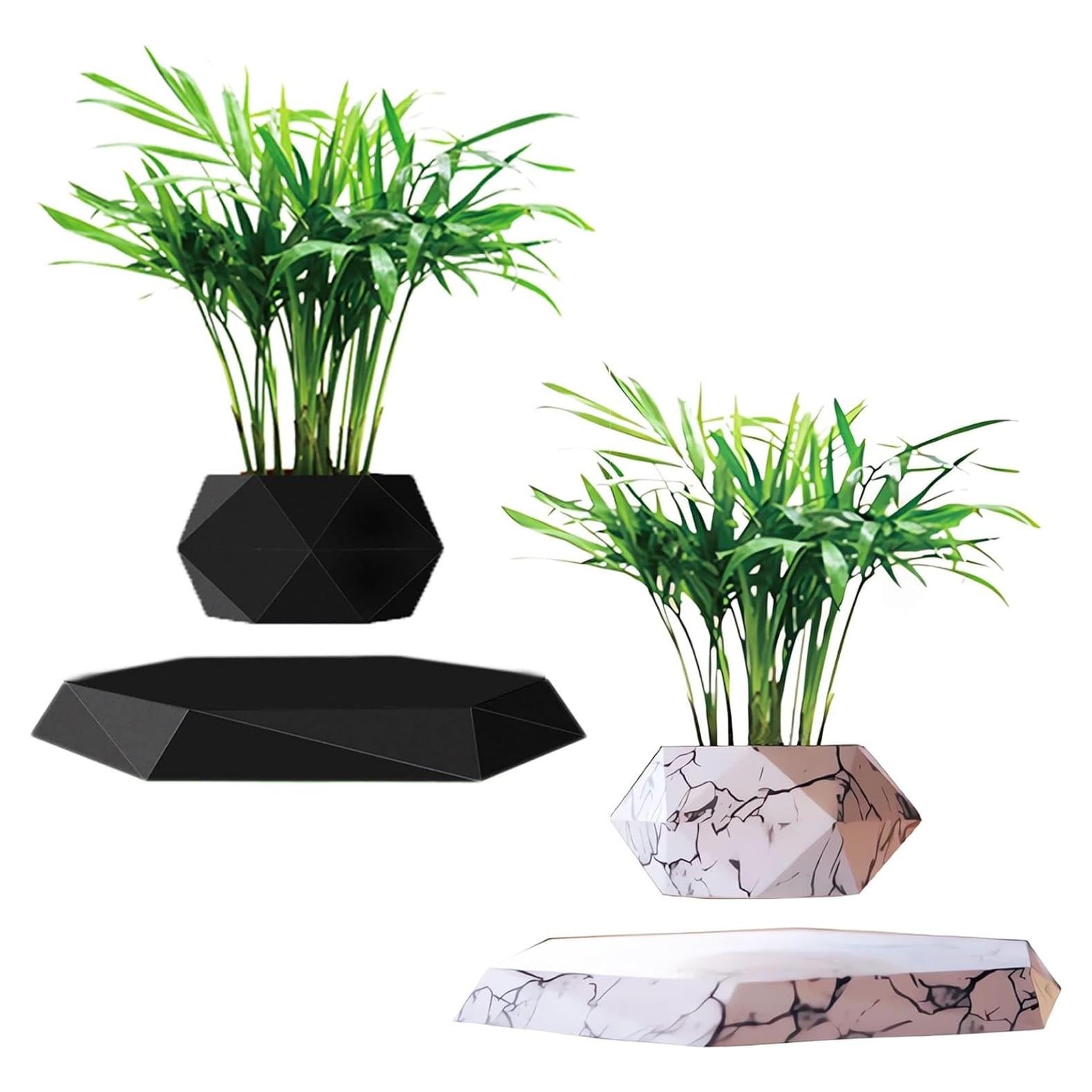 Paquete de 2 Macetas Flotantes Ronsoile para Bonsai