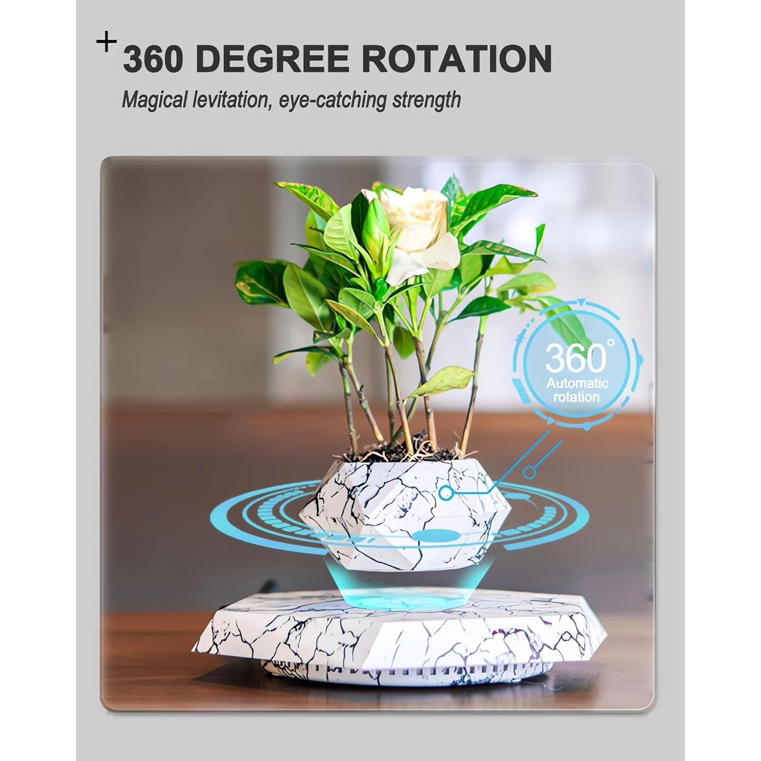 Paquete de 2 Macetas Flotantes Ronsoile para Bonsai