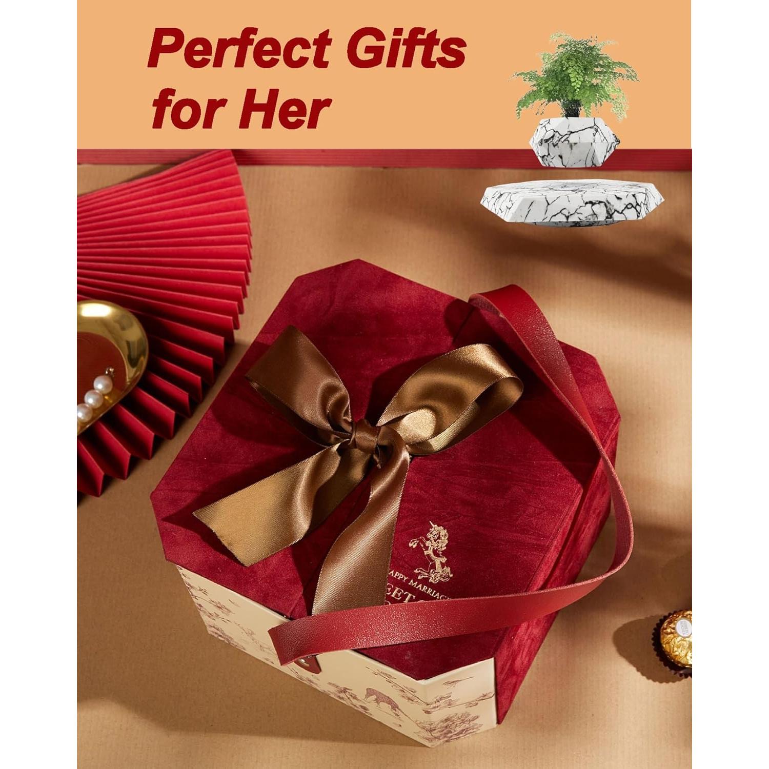 Paquete de 2 Macetas Flotantes Ronsoile para Bonsai