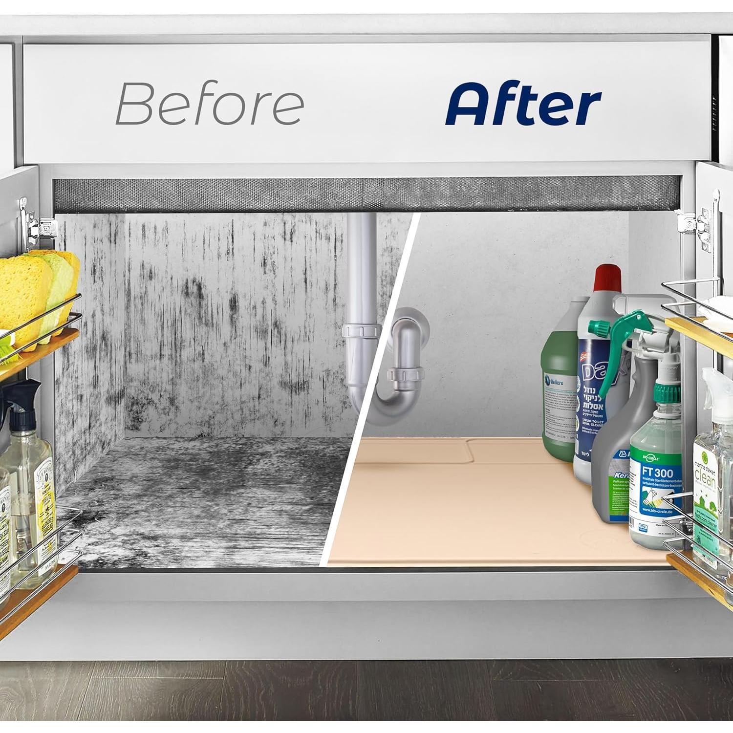 Tapete Famoso Dino Silicona 86x57 cm Impermeable