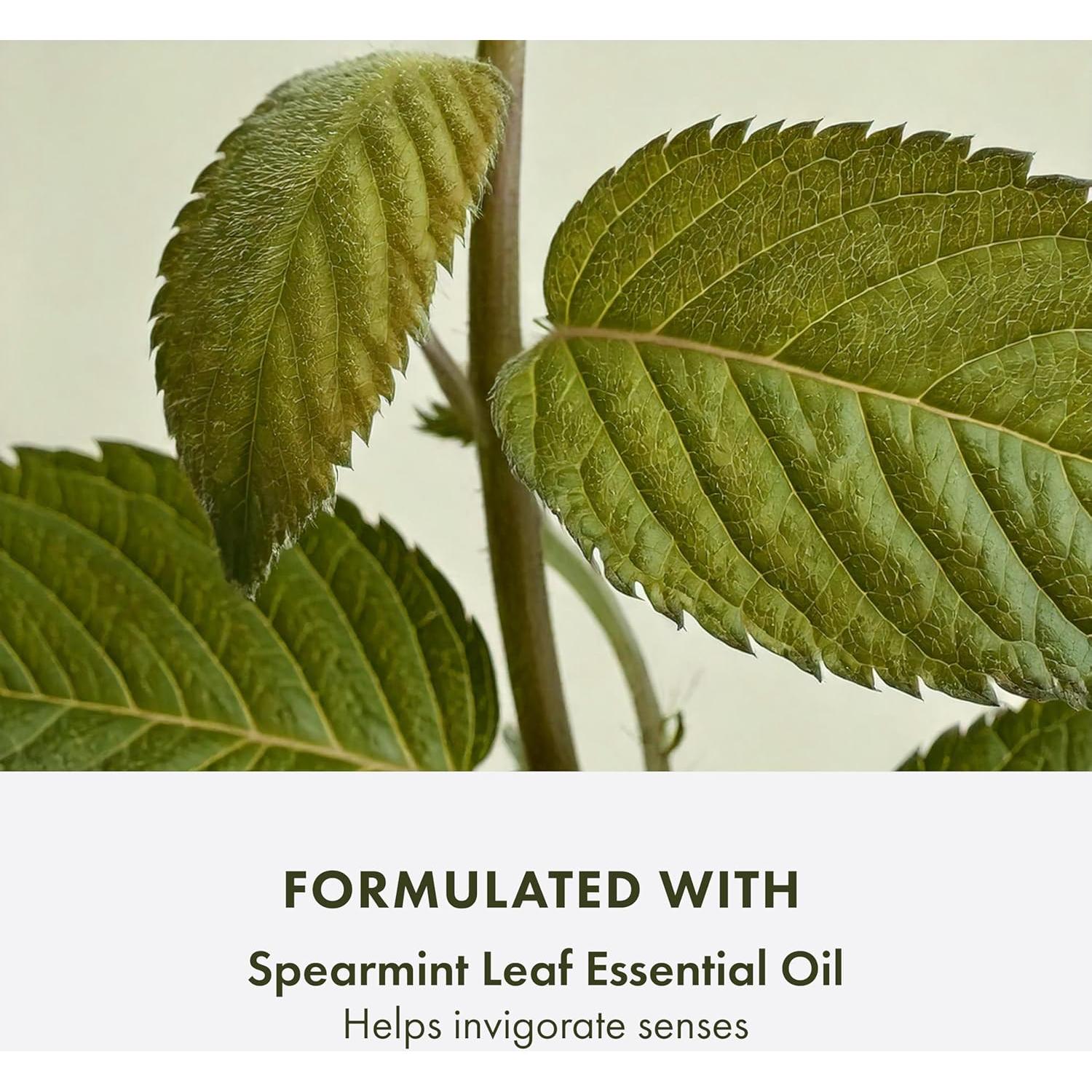 Espuma Limpiadora Facial Origins Checks and Balances 140g