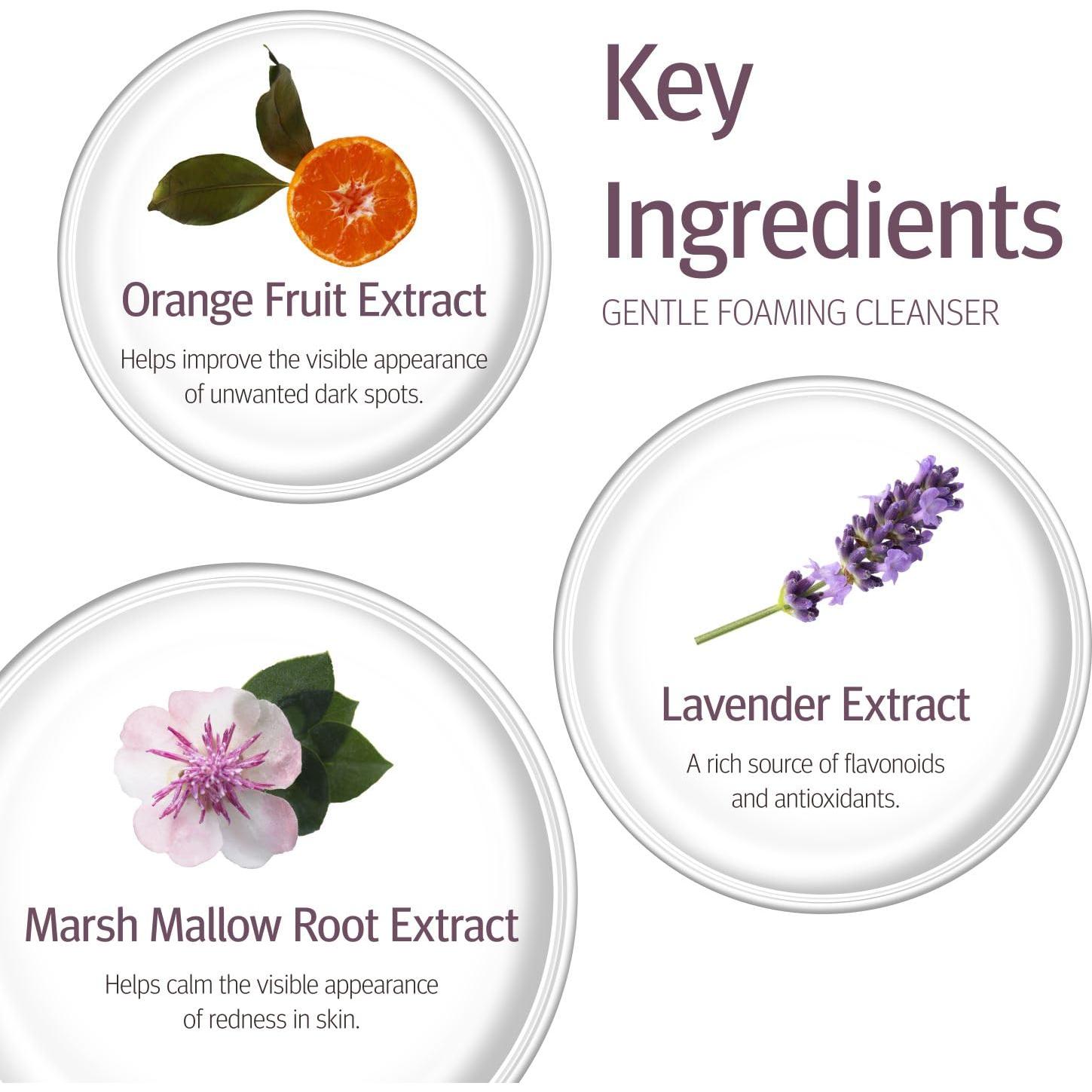 Limpiador Espumoso Suave Epionce 226g - Facial Hidratante