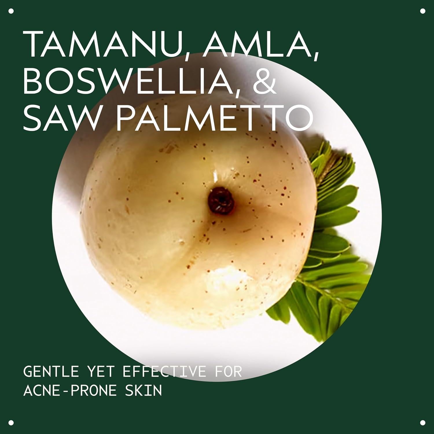 Limpiador Facial Espumoso Aveda Outer Peace 125 ml