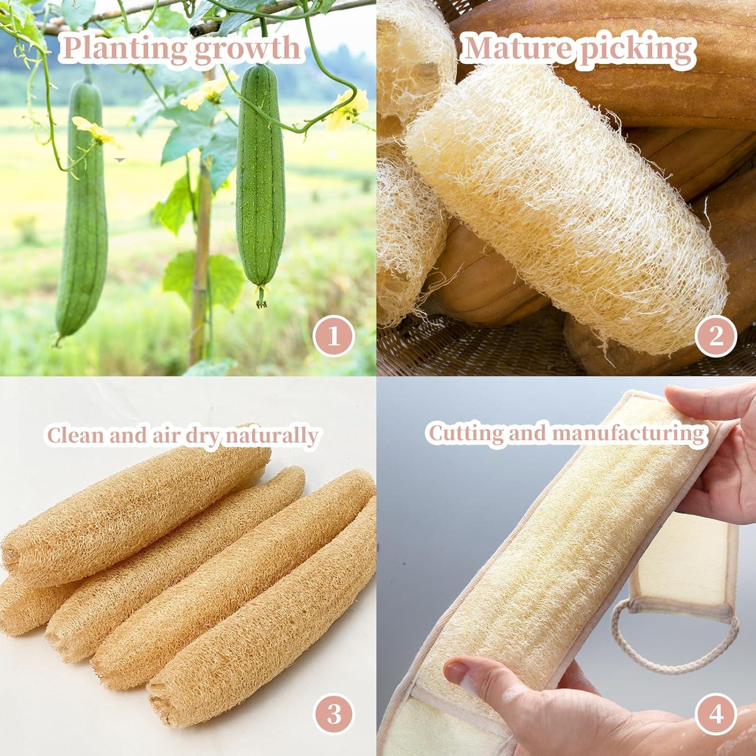 Juego de Esponjas de Lufa Natural Exfoliantes 2 Piezas