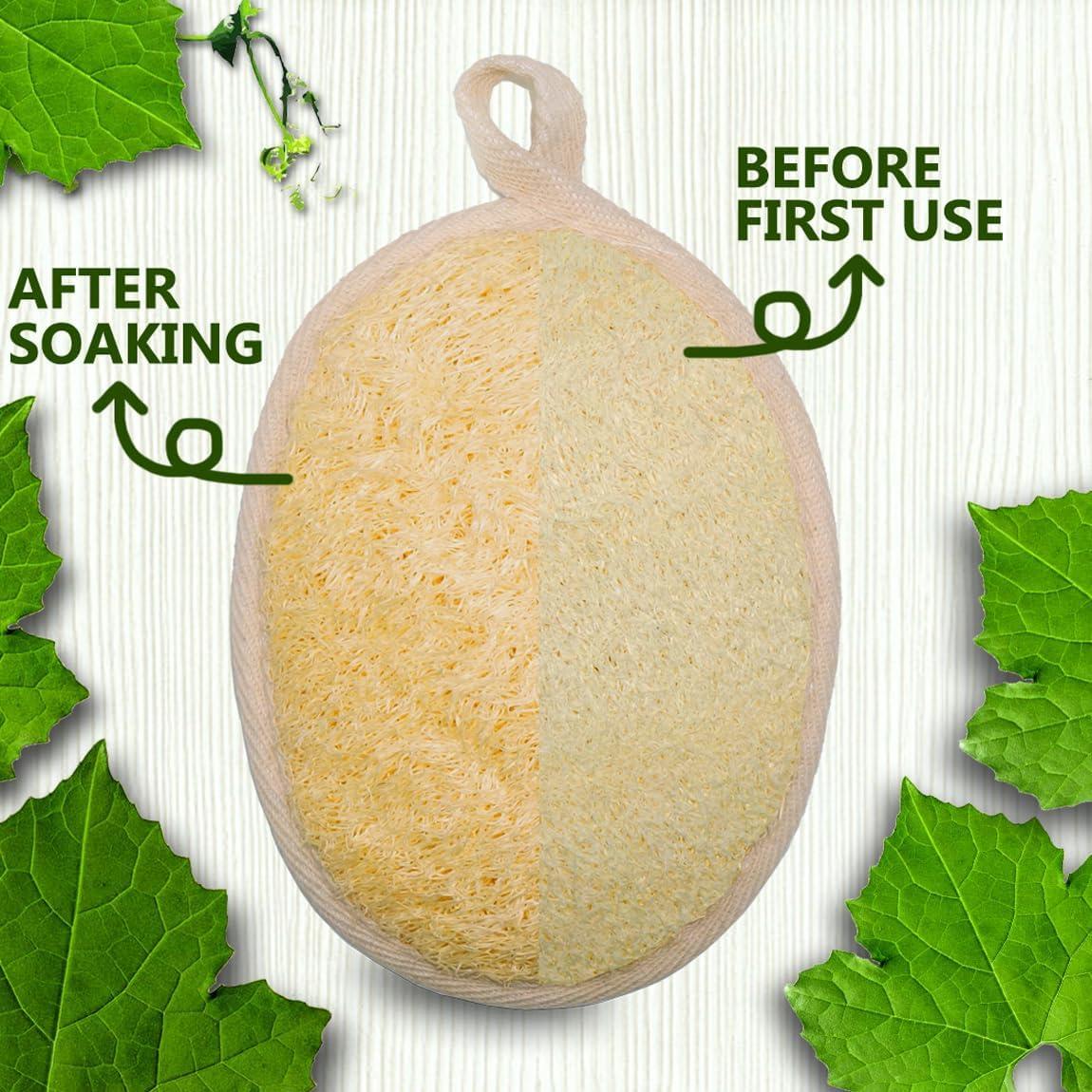 Paquete de 3 Esponjas de Lufa Natural Exfoliantes 10-16 cm