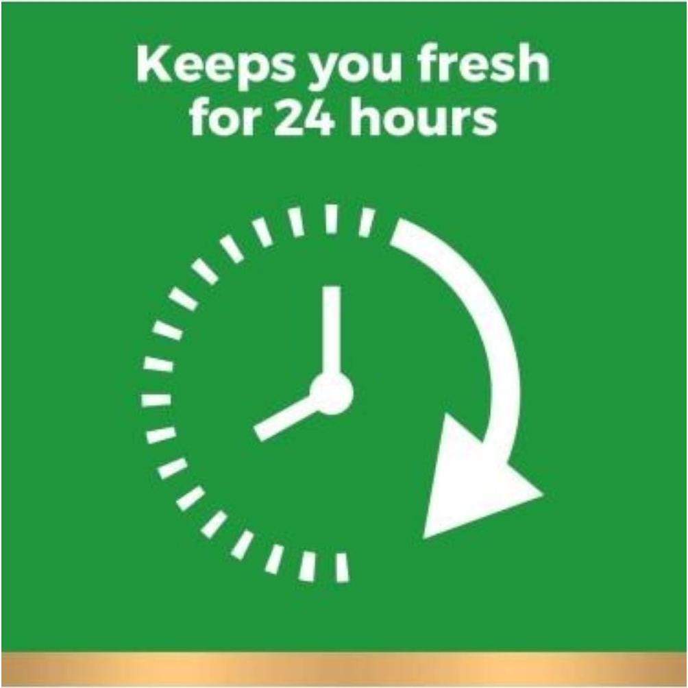 Gel de Ducha Exfoliante Irish Spring Active Scrub 590 ml Pack 2