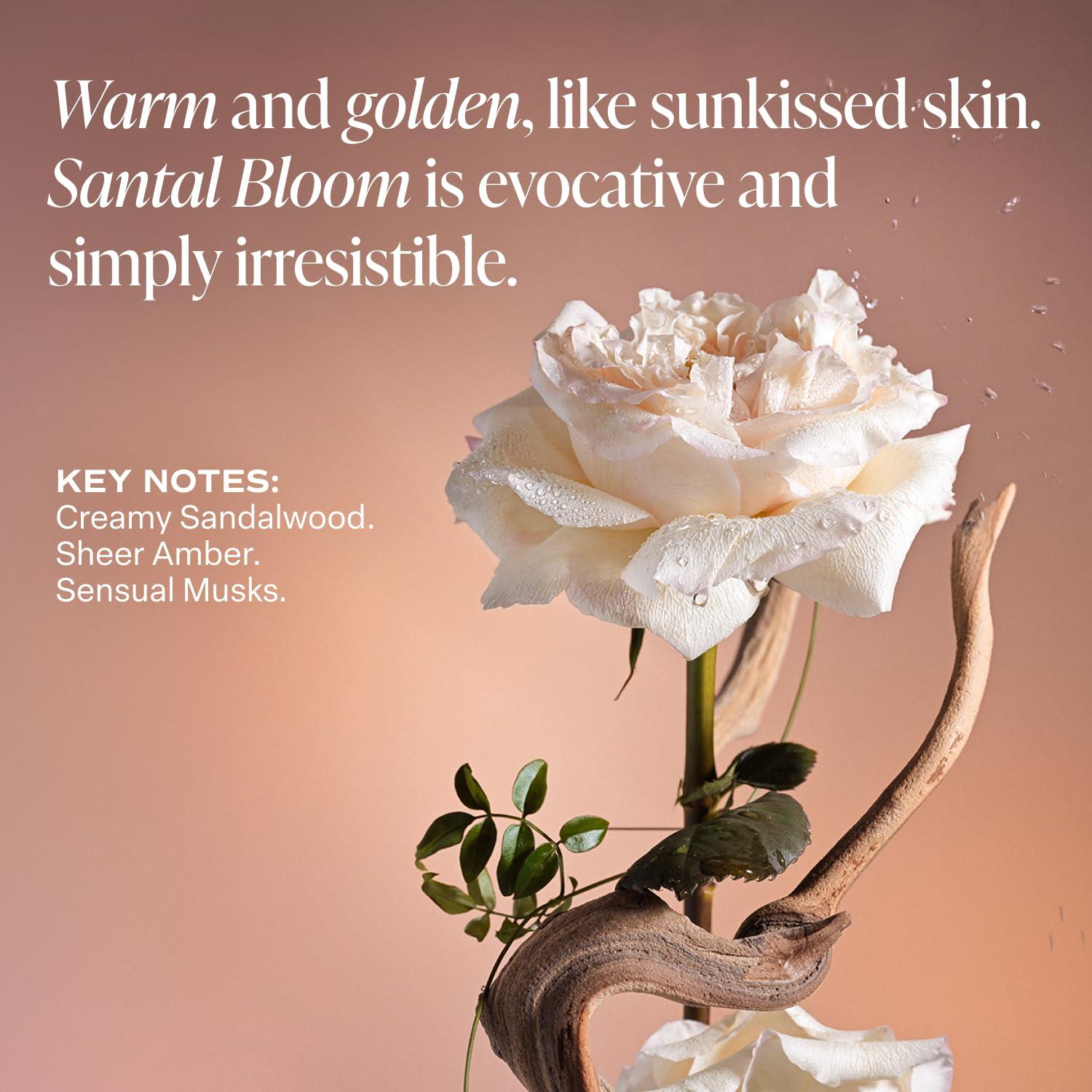 Loción Corporal Saltair Santal Bloom 2x284g Hidratante