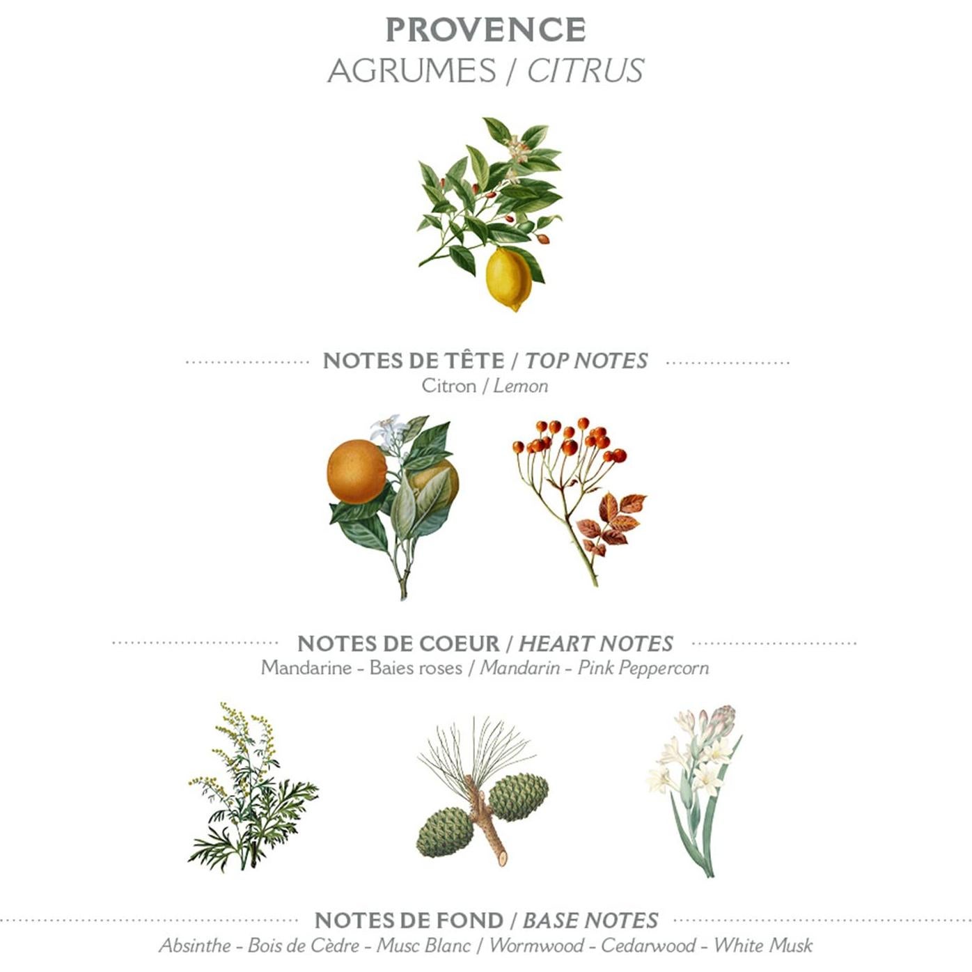 Loción Hidratante para Manos y Cuerpo Panier des Sens 250ml