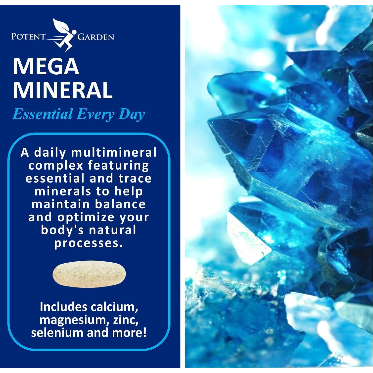 Suplemento Multimineral Potent Garden 100 Pastillas Calcio Magnesio Zinc