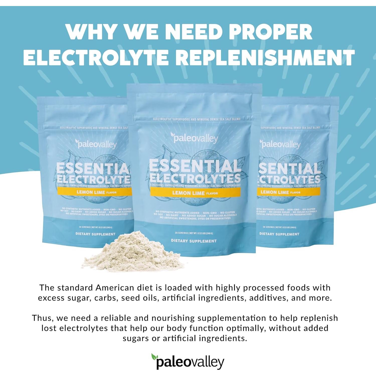 Paleovalley Electrolitos en Polvo Limón Lima 28 Porciones