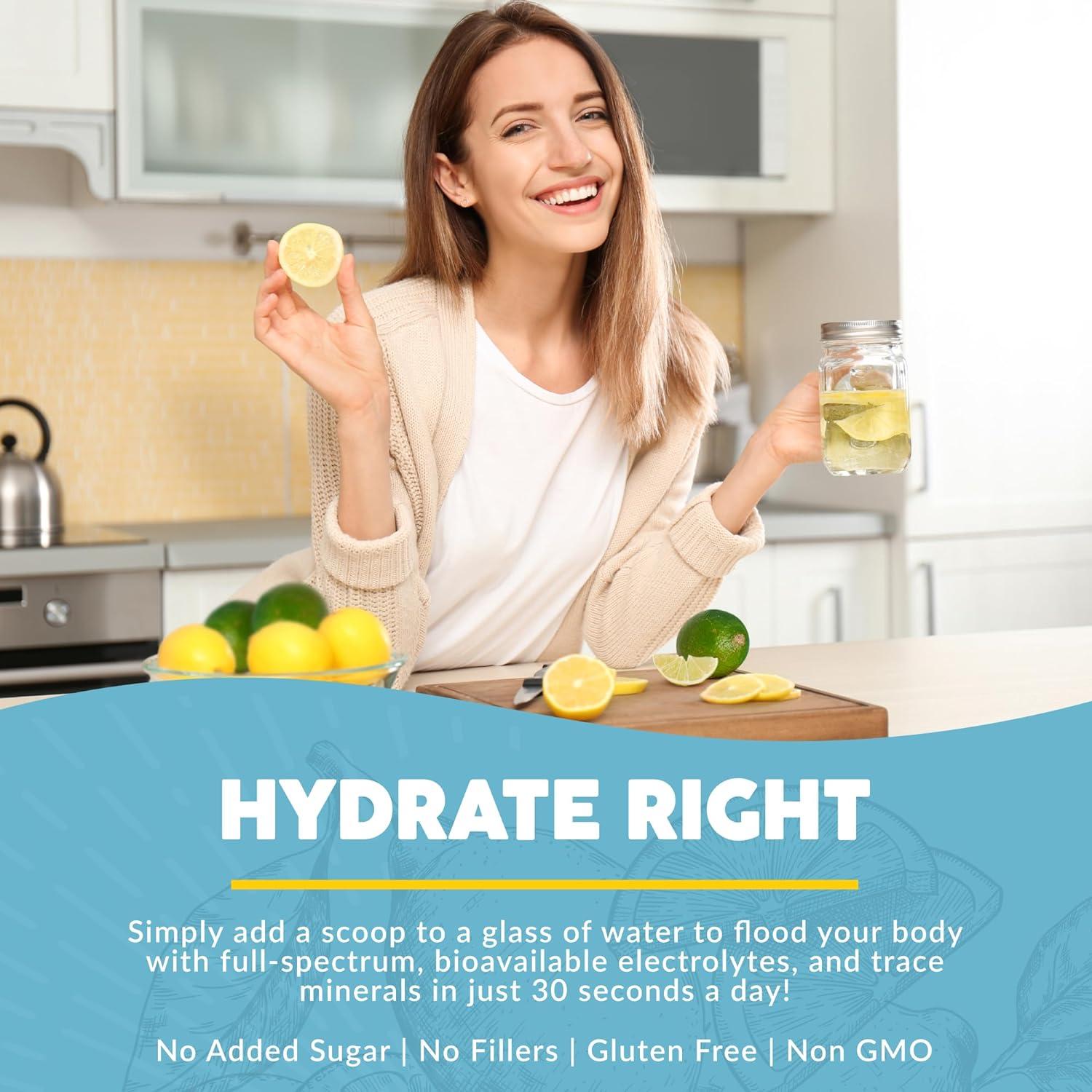 Paleovalley Electrolitos en Polvo Limón Lima 28 Porciones