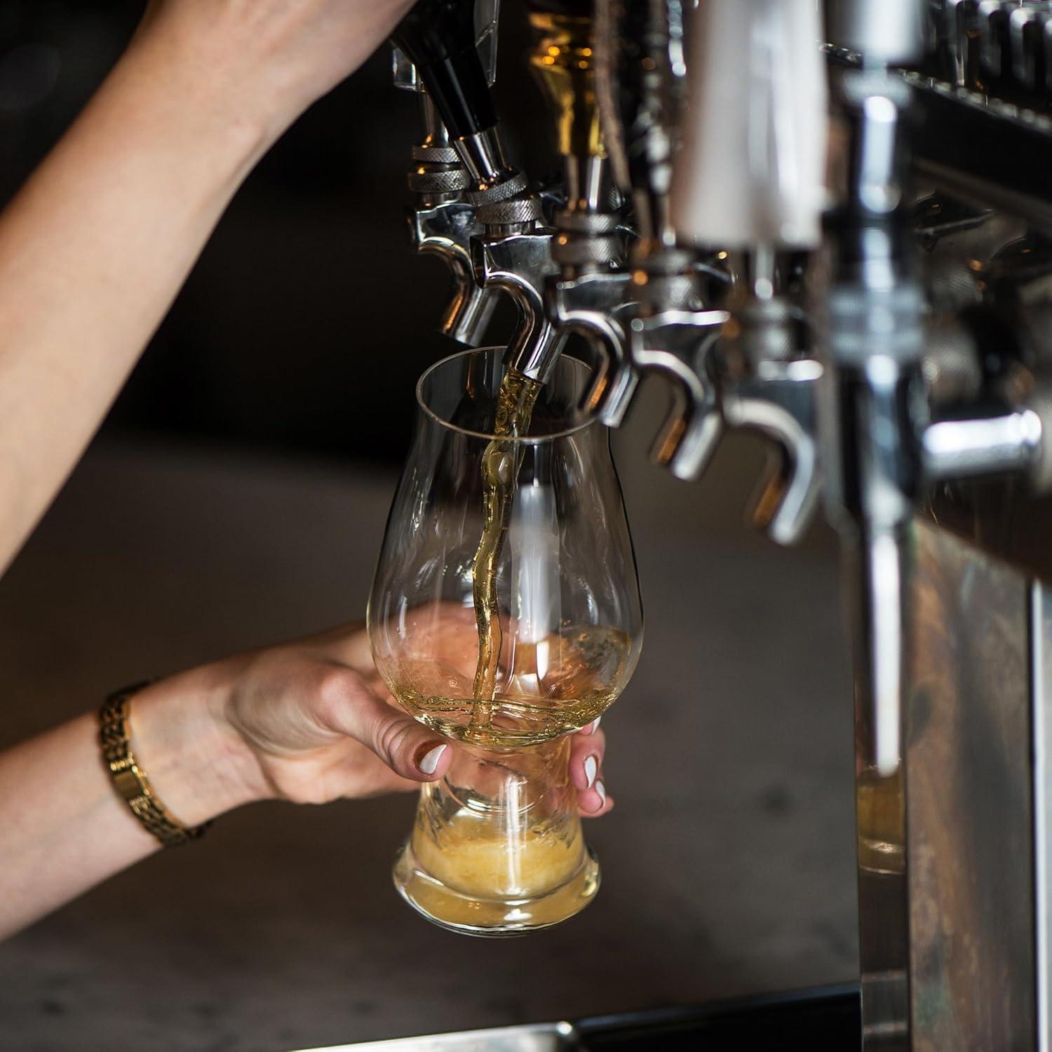 Vasos de Cerveza IPA Luigi Bormioli - Juego de 2, 518 ml