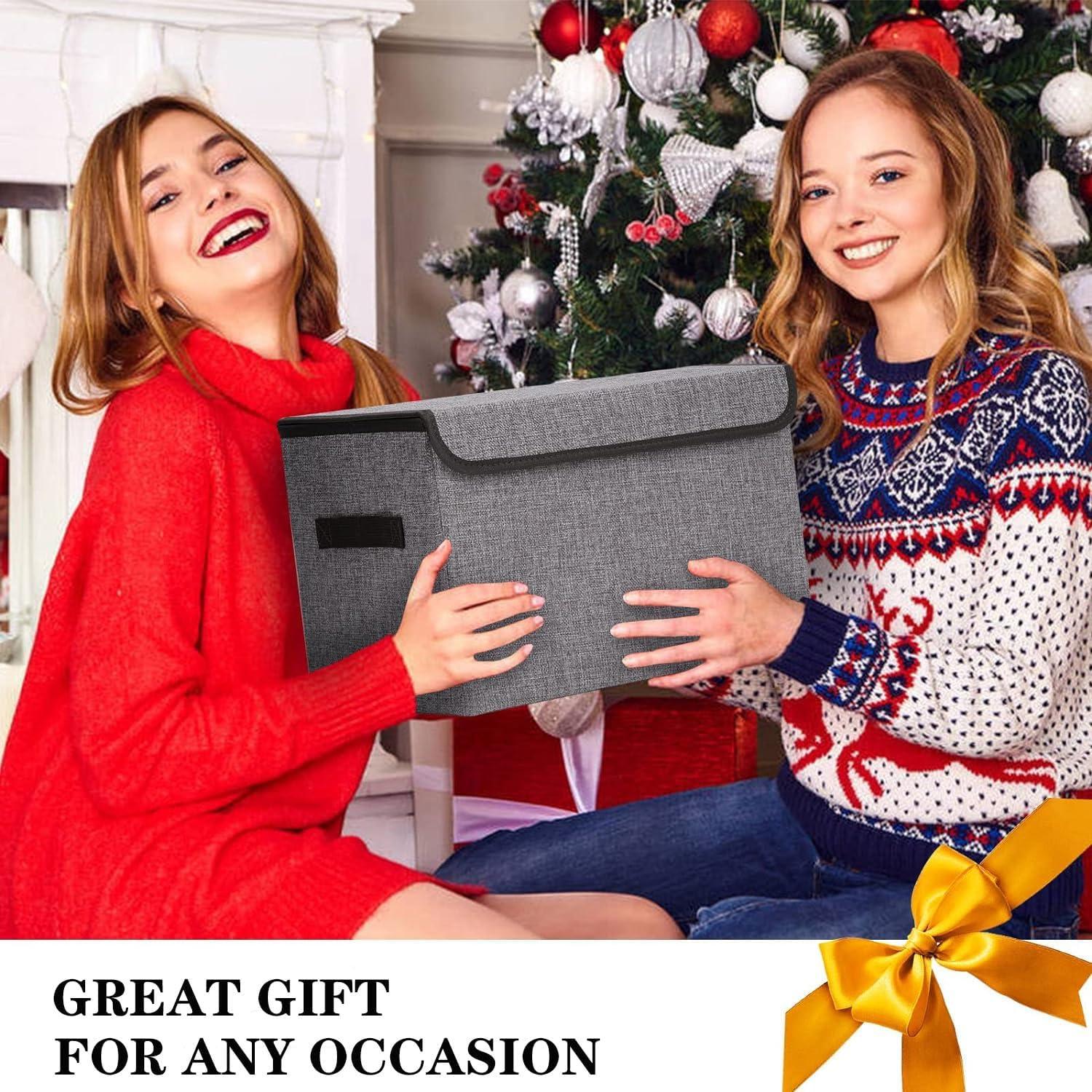 Cajas de Almacenamiento Plegables Bagnizer 22L Gris - Paquete de 4