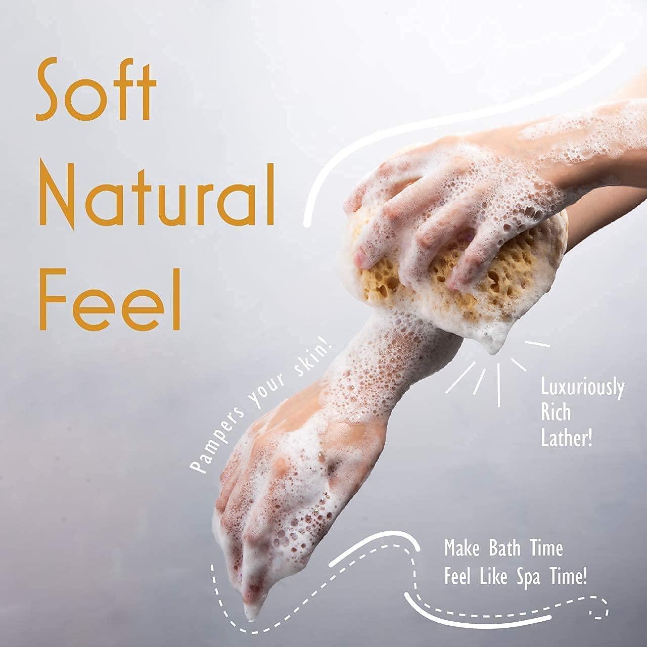 Esponja de Baño MyHomeBody Curvada Exfoliante Pack 3