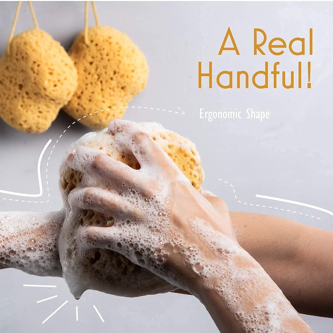 Esponja de Baño MyHomeBody Curvada Exfoliante Pack 3