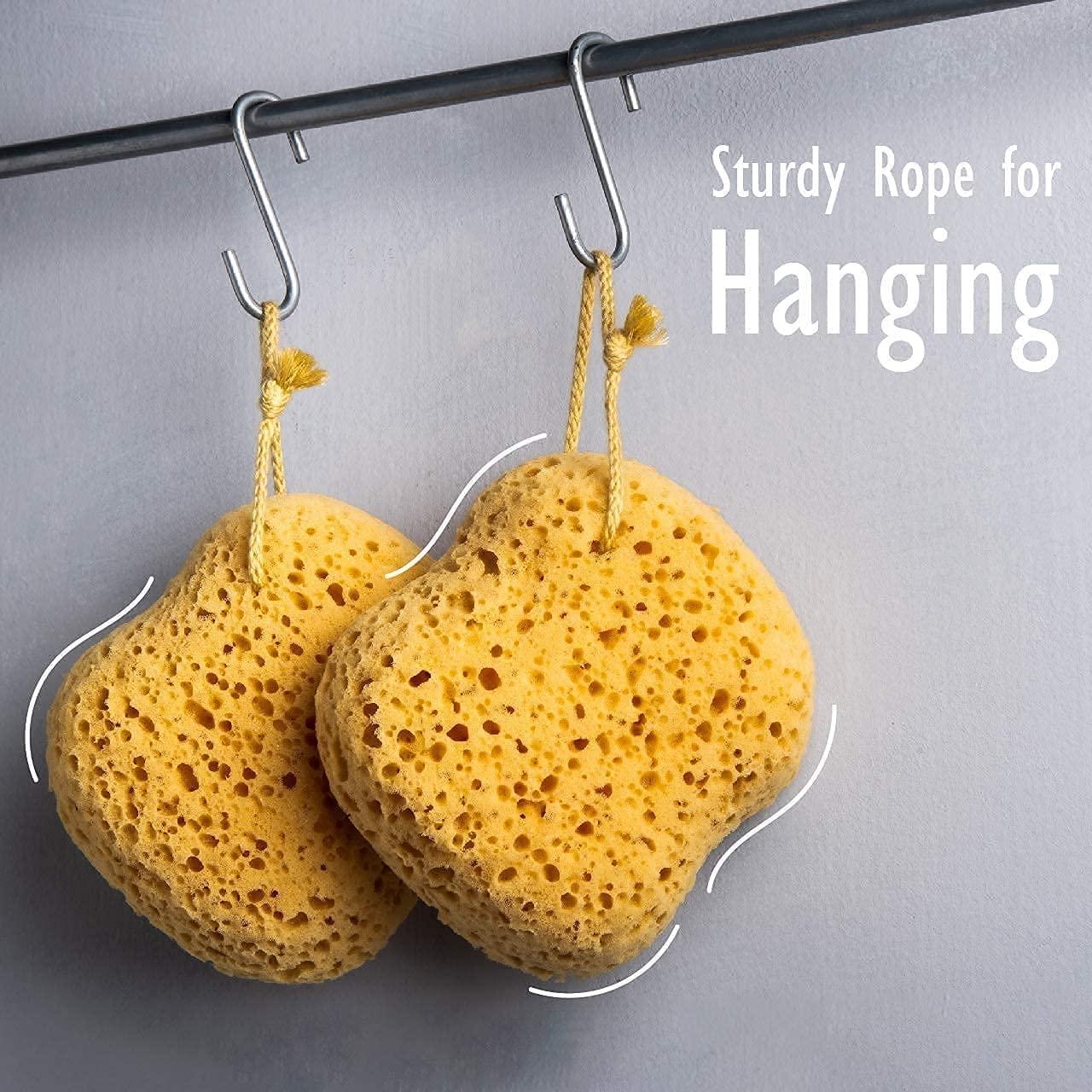 Esponja de Baño MyHomeBody Curvada Exfoliante Pack 3