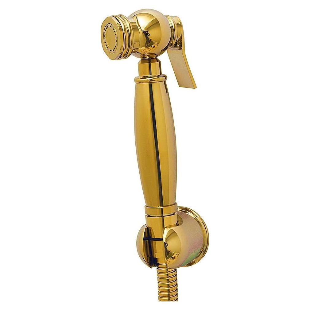 Rociador de Bidet de Mano AYIVG Dorado Montaje en Pared