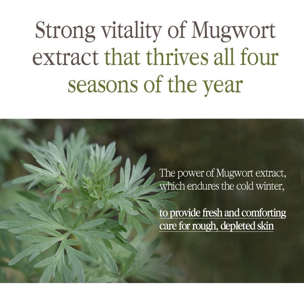 Tónico Hidratante Pyunkang Yul Té Negro 130ml Antienvejecimiento