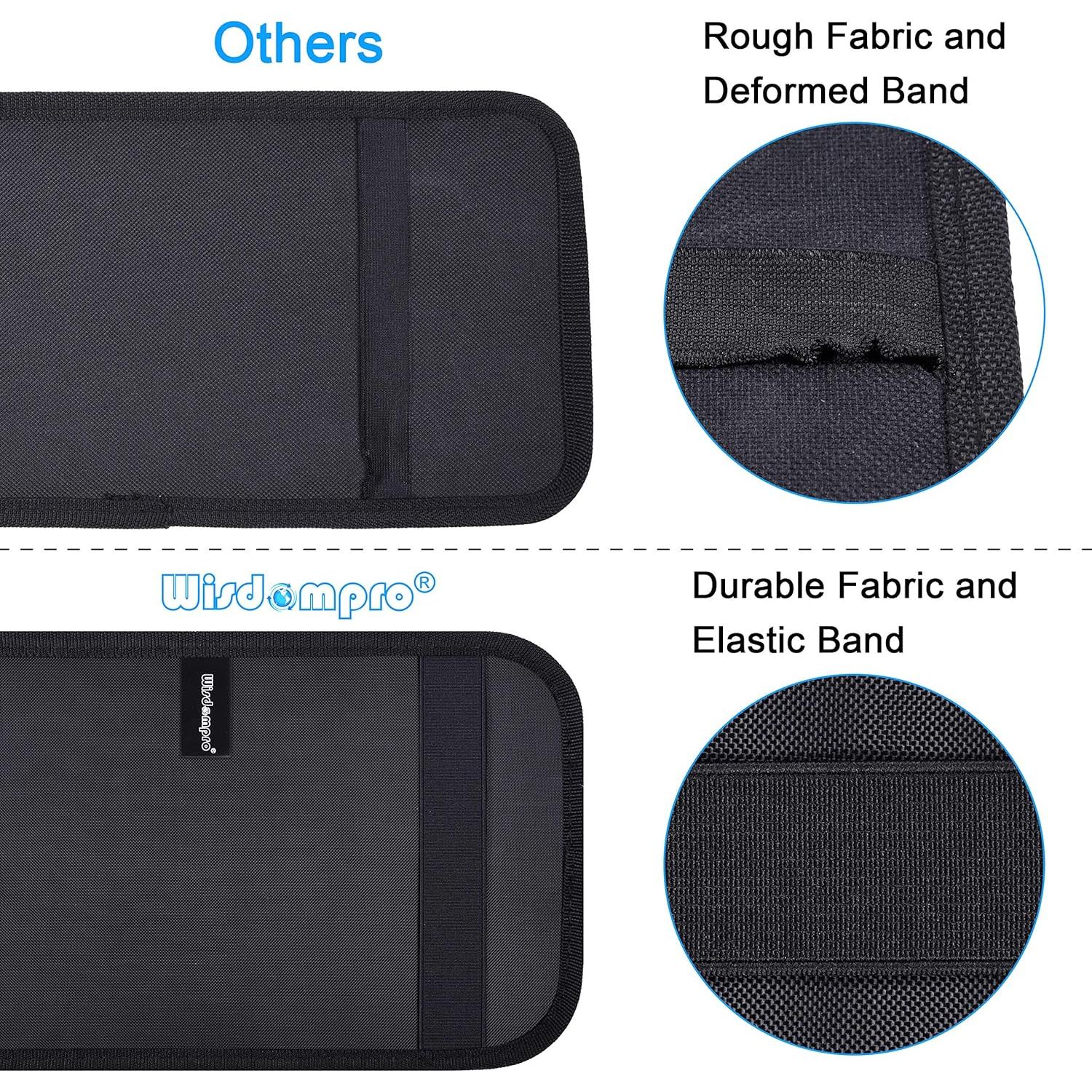 Organizador de Visera de Coche Wisdompro Negro 17x30 cm