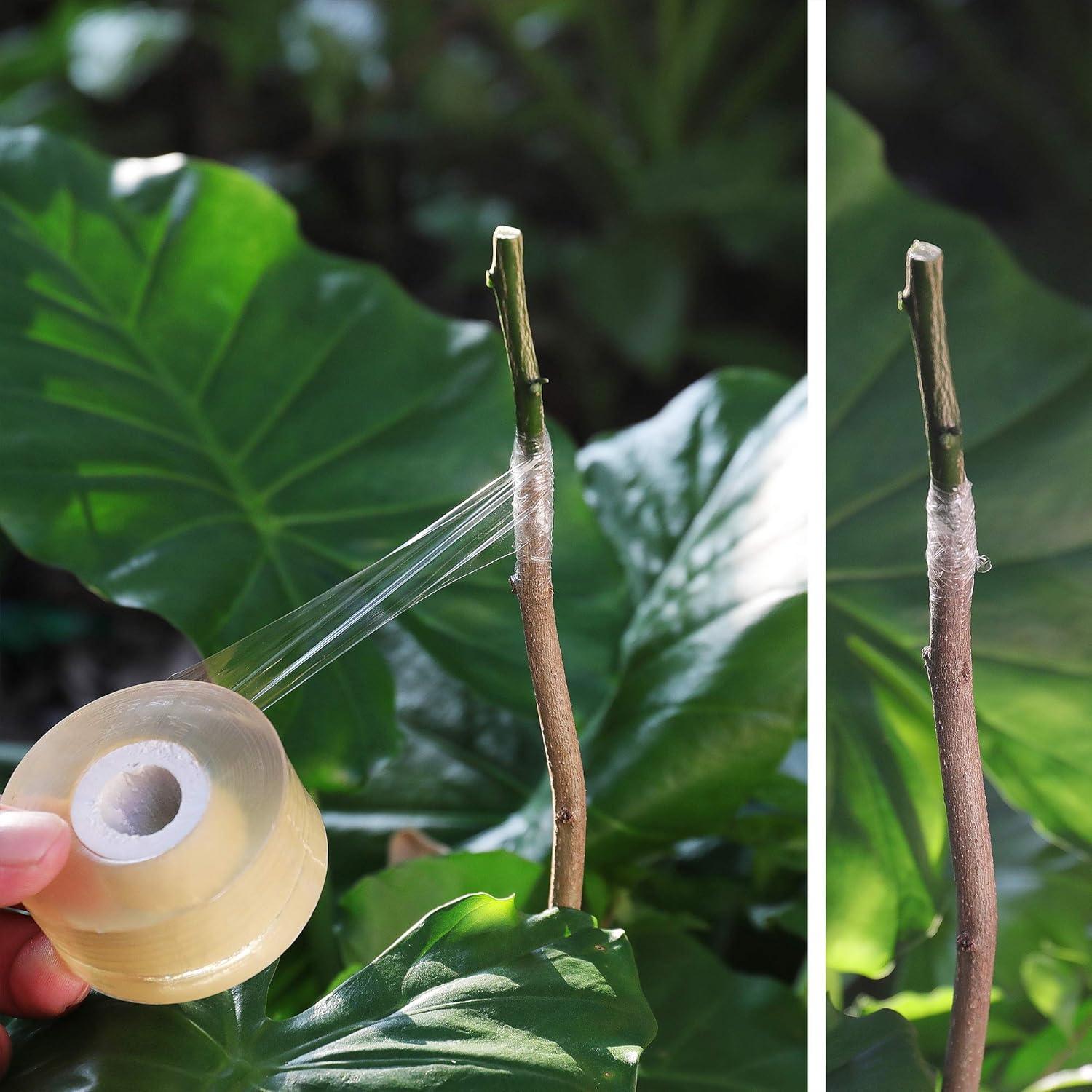 Cinta de Injerto NAYE para Árboles Frutales - 3 Piezas