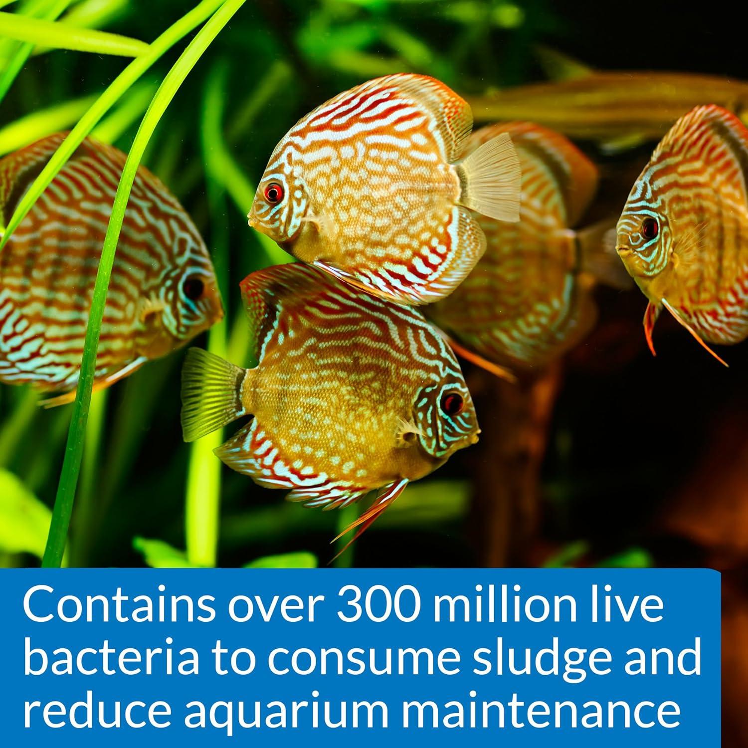 API STRESS ZYME 473 ml - Solución de Limpieza para Acuarios