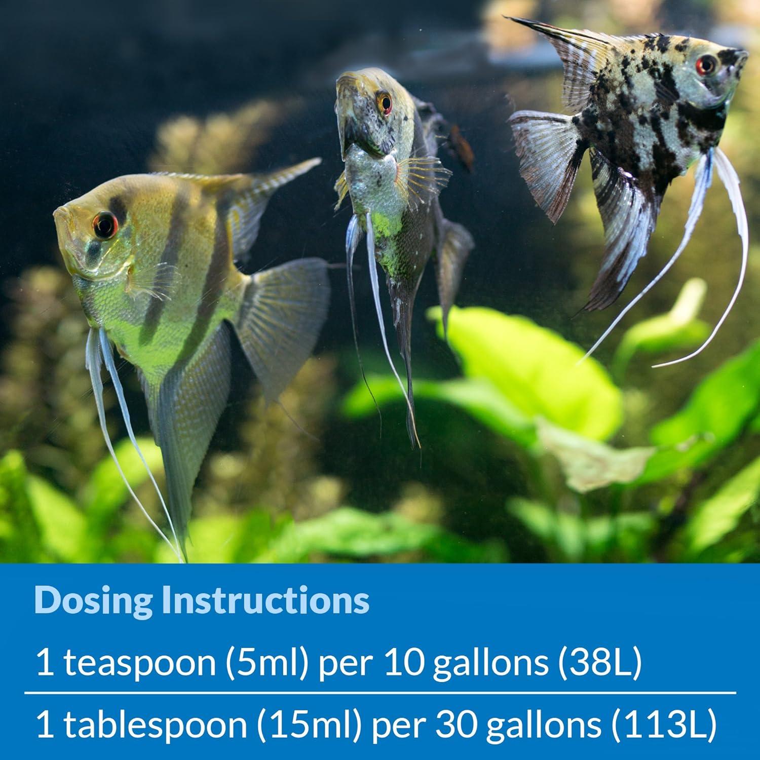 API STRESS ZYME 473 ml - Solución de Limpieza para Acuarios