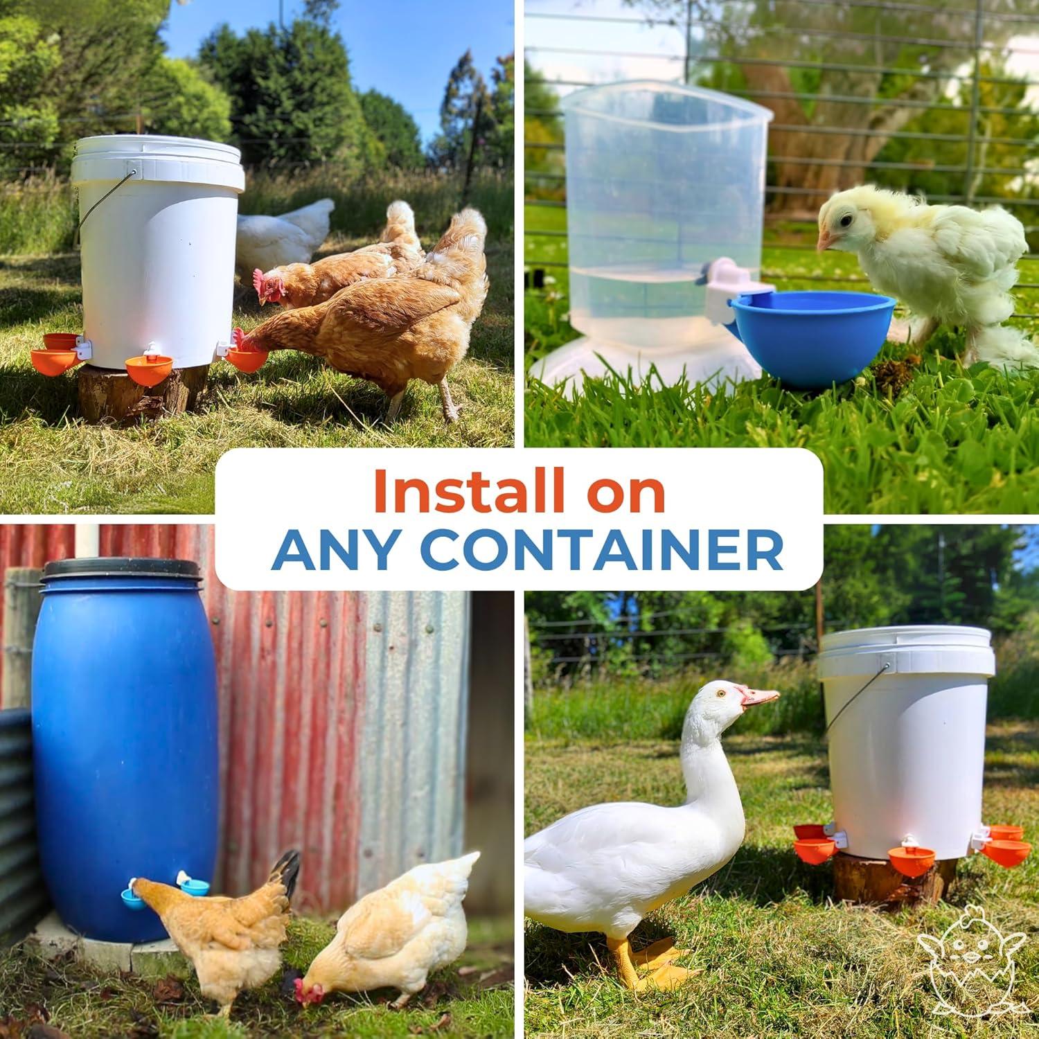 Paquete de 5 Tazas Automáticas de Agua Lil Clucker 7,62 cm