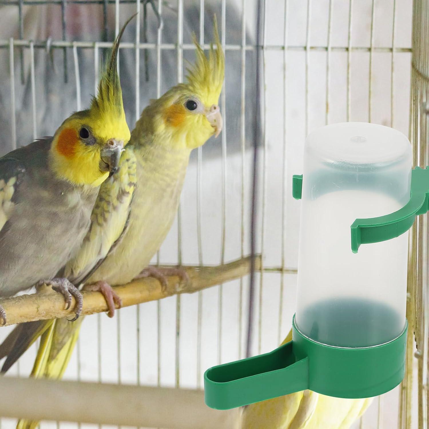 Dispensador Automático de Agua para Aves NUOBESTY 10 Piezas