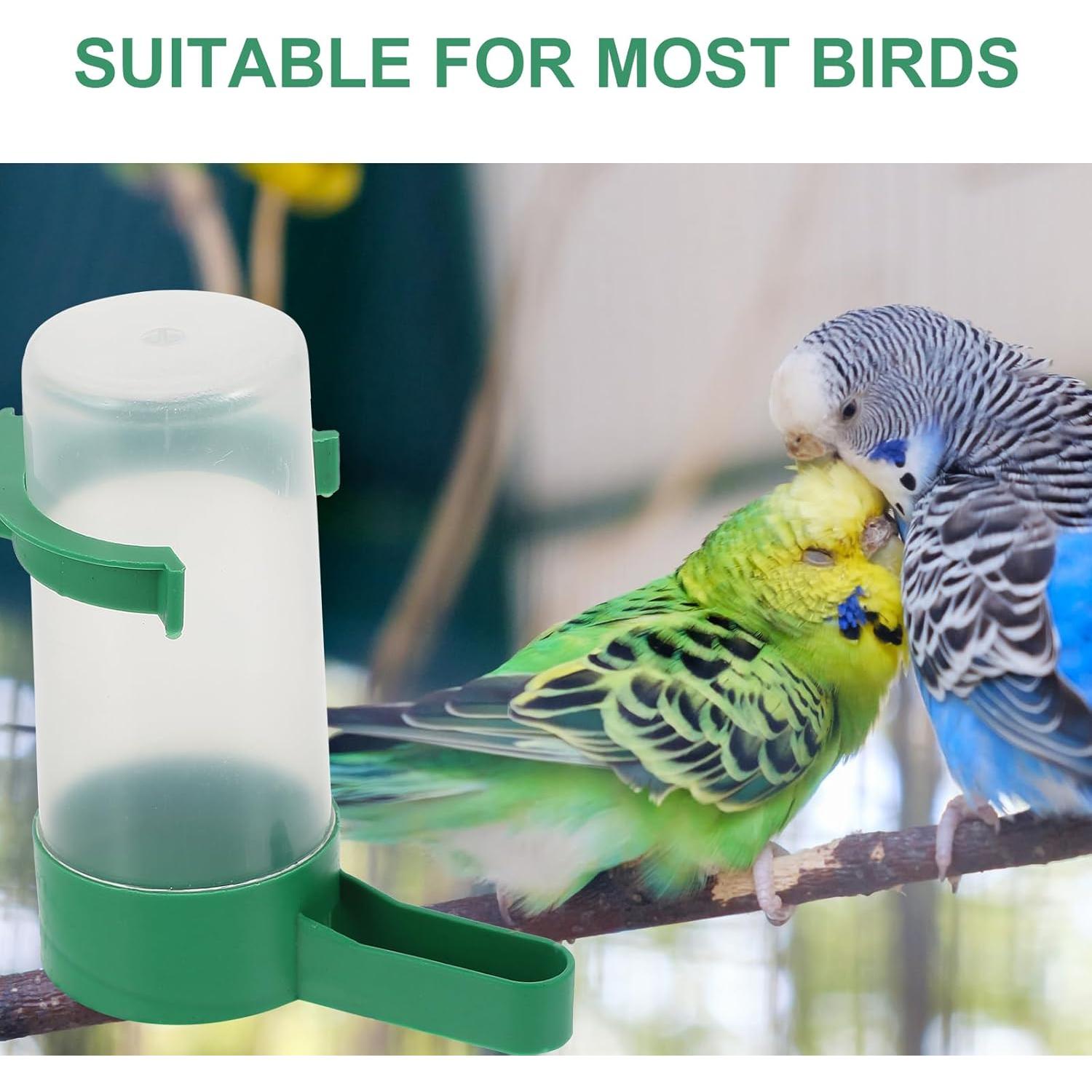 Dispensador Automático de Agua para Aves NUOBESTY 10 Piezas