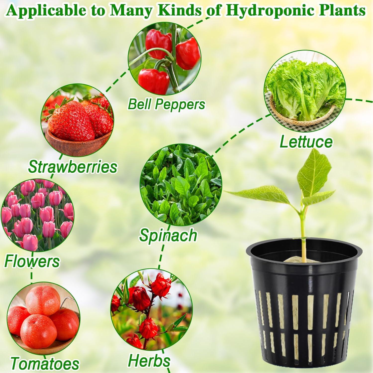 Halatool Kit Hidroponía 72 Cubos Lana Roca 3,05cm y 56 Tazas 5,08cm