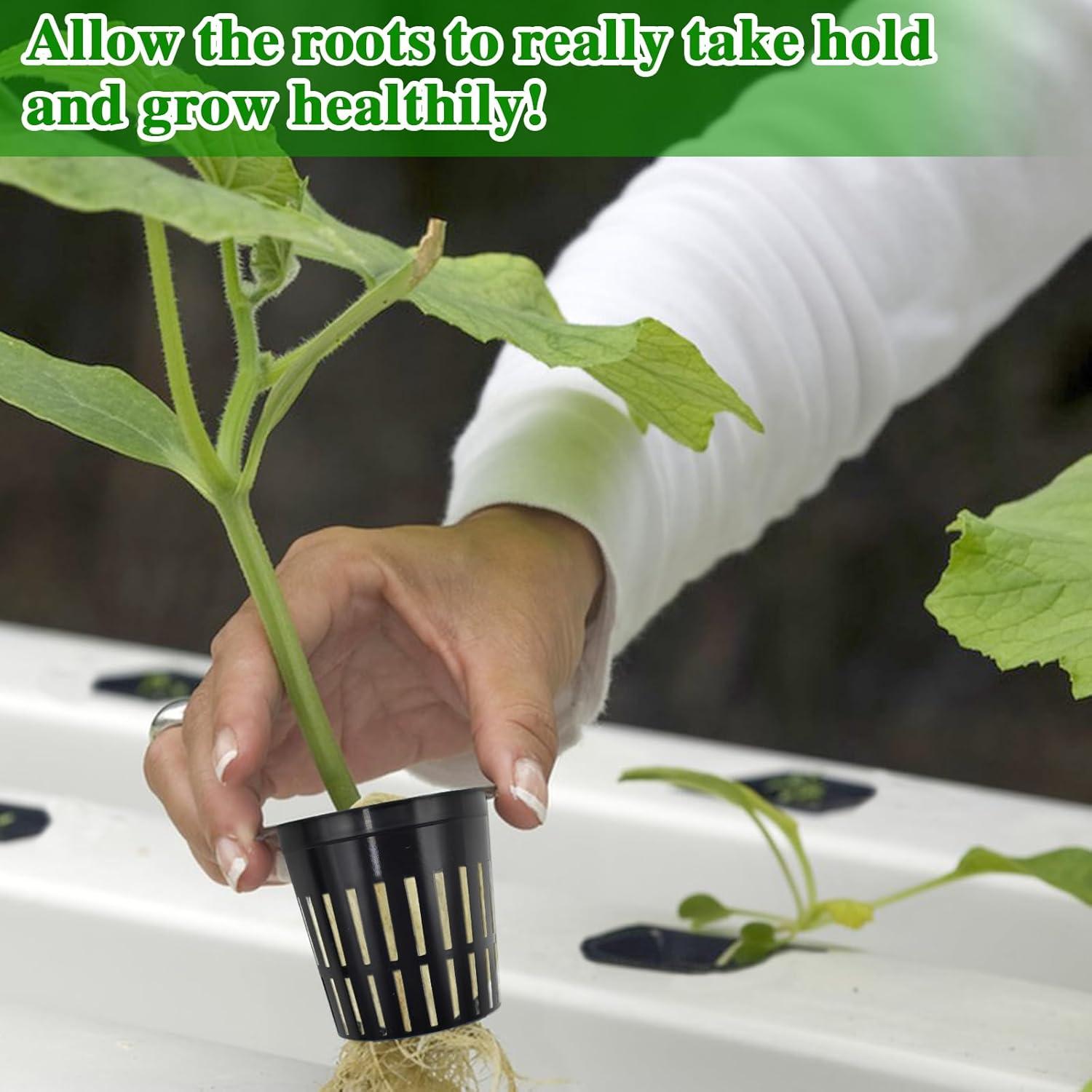 Halatool Kit Hidroponía 72 Cubos Lana Roca 3,05cm y 56 Tazas 5,08cm