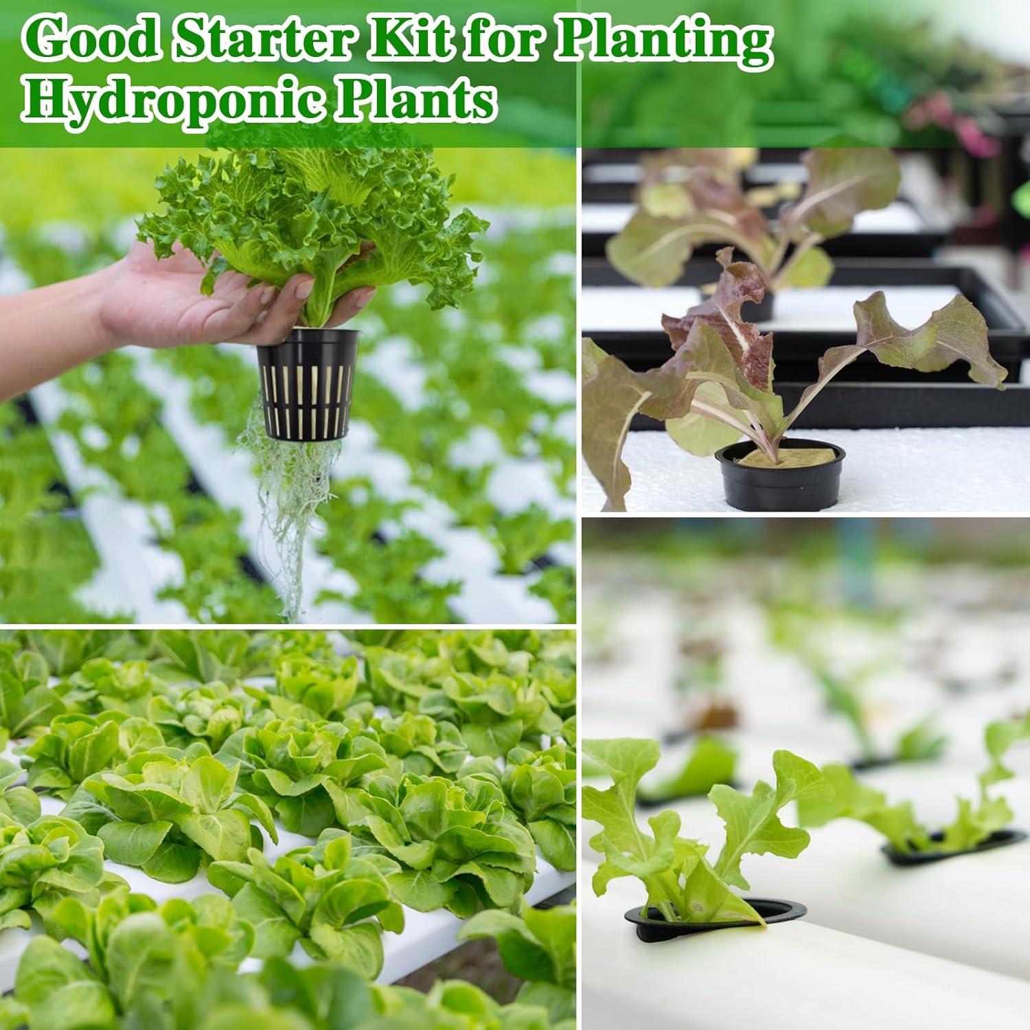 Halatool Kit Hidroponía 72 Cubos Lana Roca 3,05cm y 56 Tazas 5,08cm